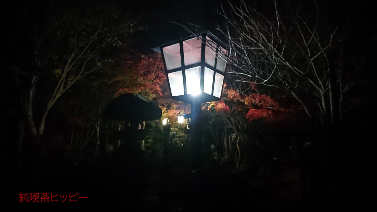 f:id:jkhippie:20191229165206j:plain f:id:jkhippie:20191229165206j:plain