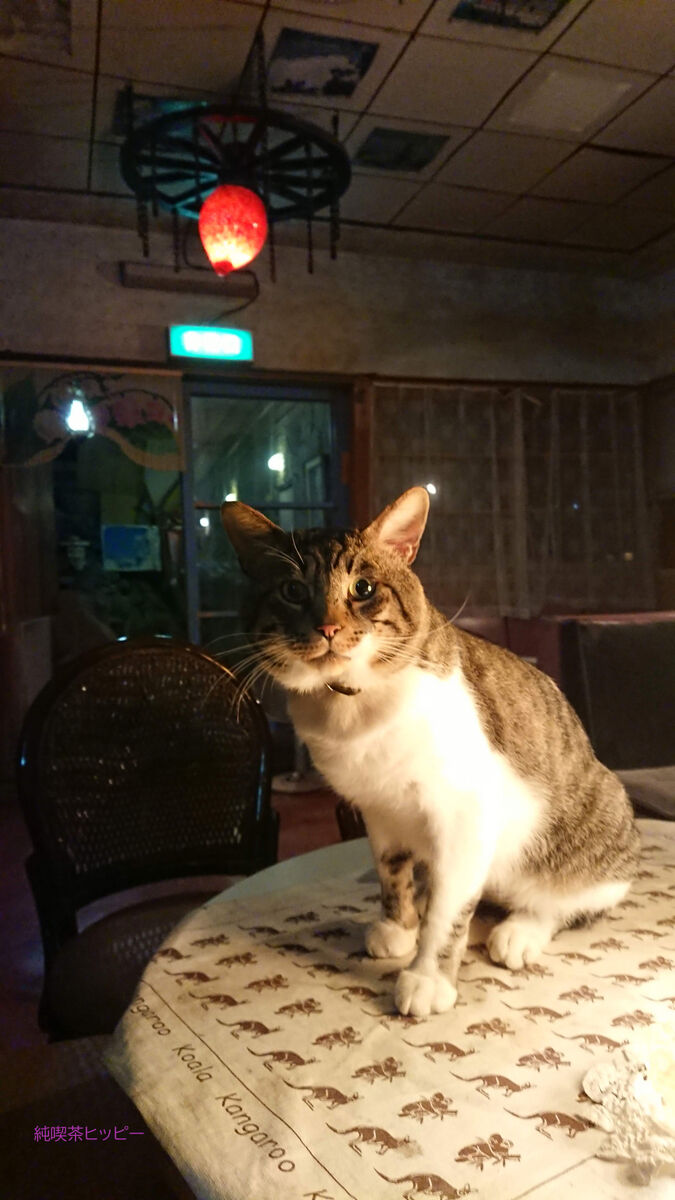 f:id:jkhippie:20191027165038j:plain f:id:jkhippie:20191027165038j:plain