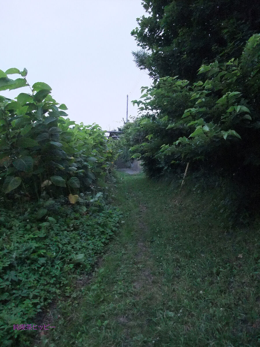 f:id:jkhippie:20191027165049j:plain f:id:jkhippie:20191027165049j:plain