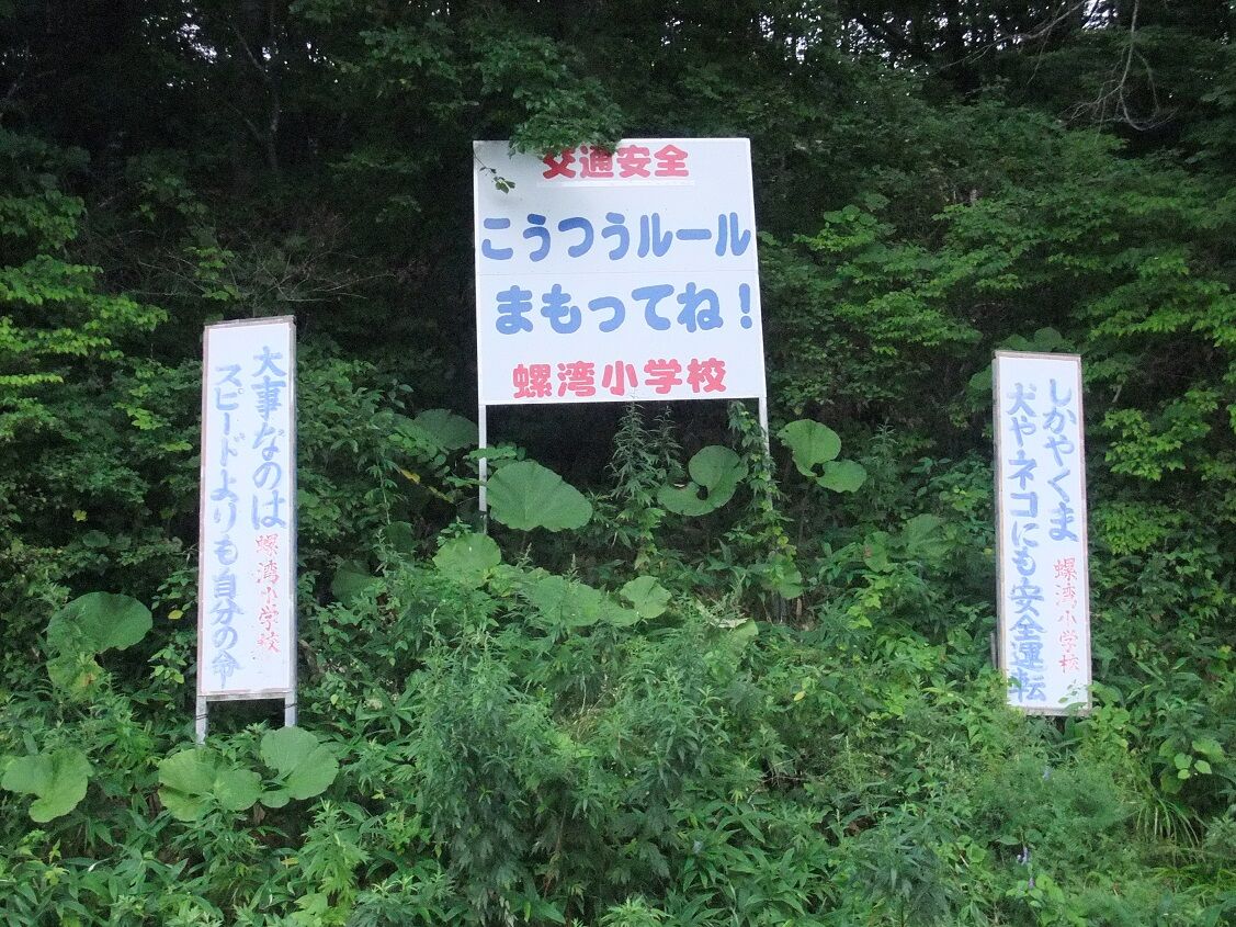 f:id:jkhippie:20200614135125j:plain