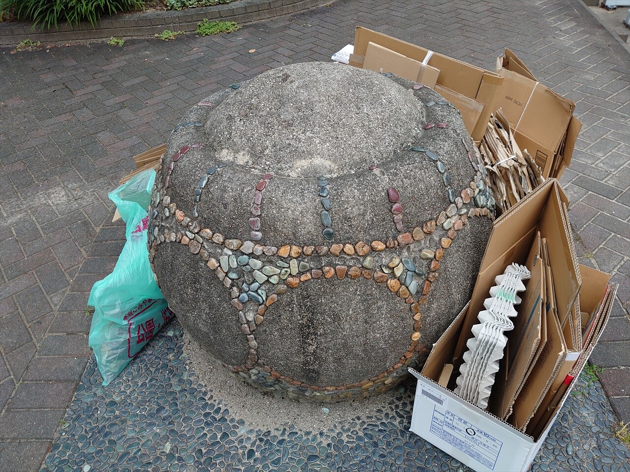 IMG_20240620_174051_R