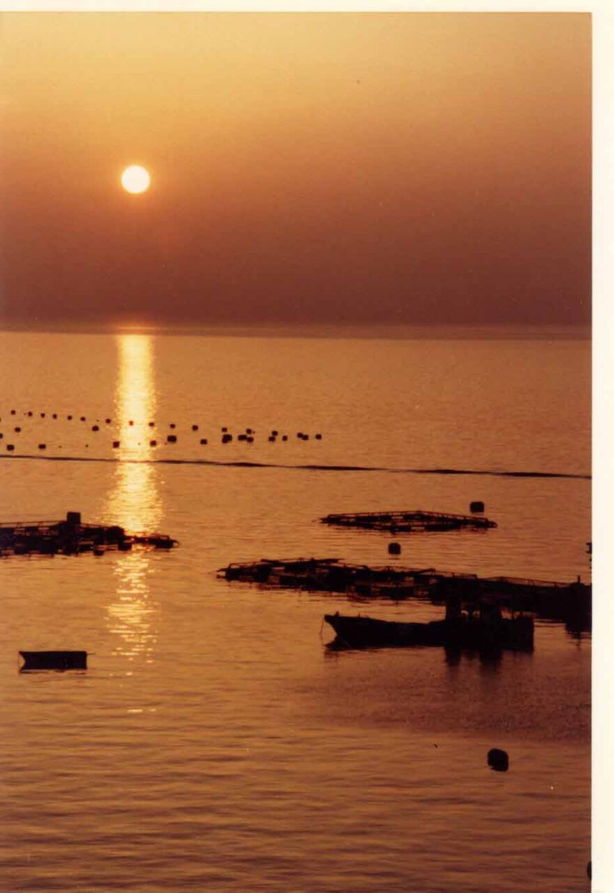 f:id:jkhippie:20200224154122j:plain f:id:jkhippie:20200224154122j:plain