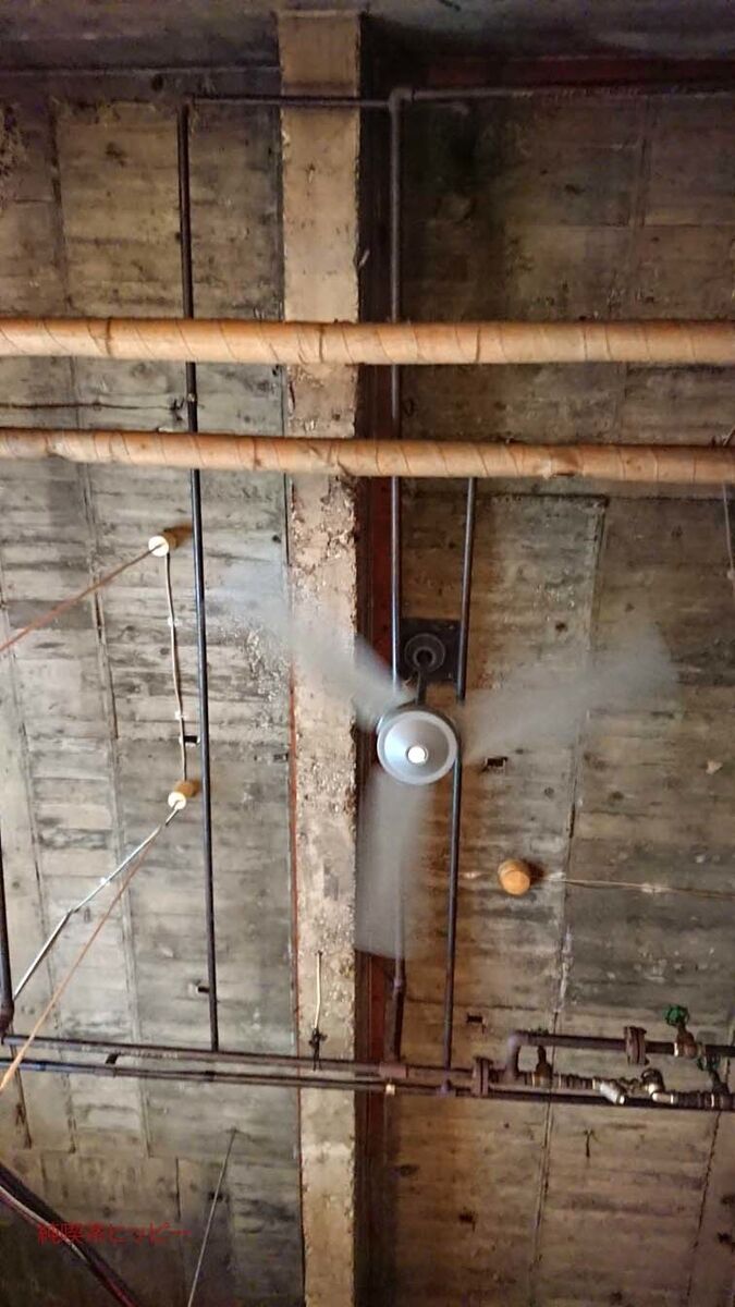 f:id:jkhippie:20191117084758j:plain f:id:jkhippie:20191117084758j:plain