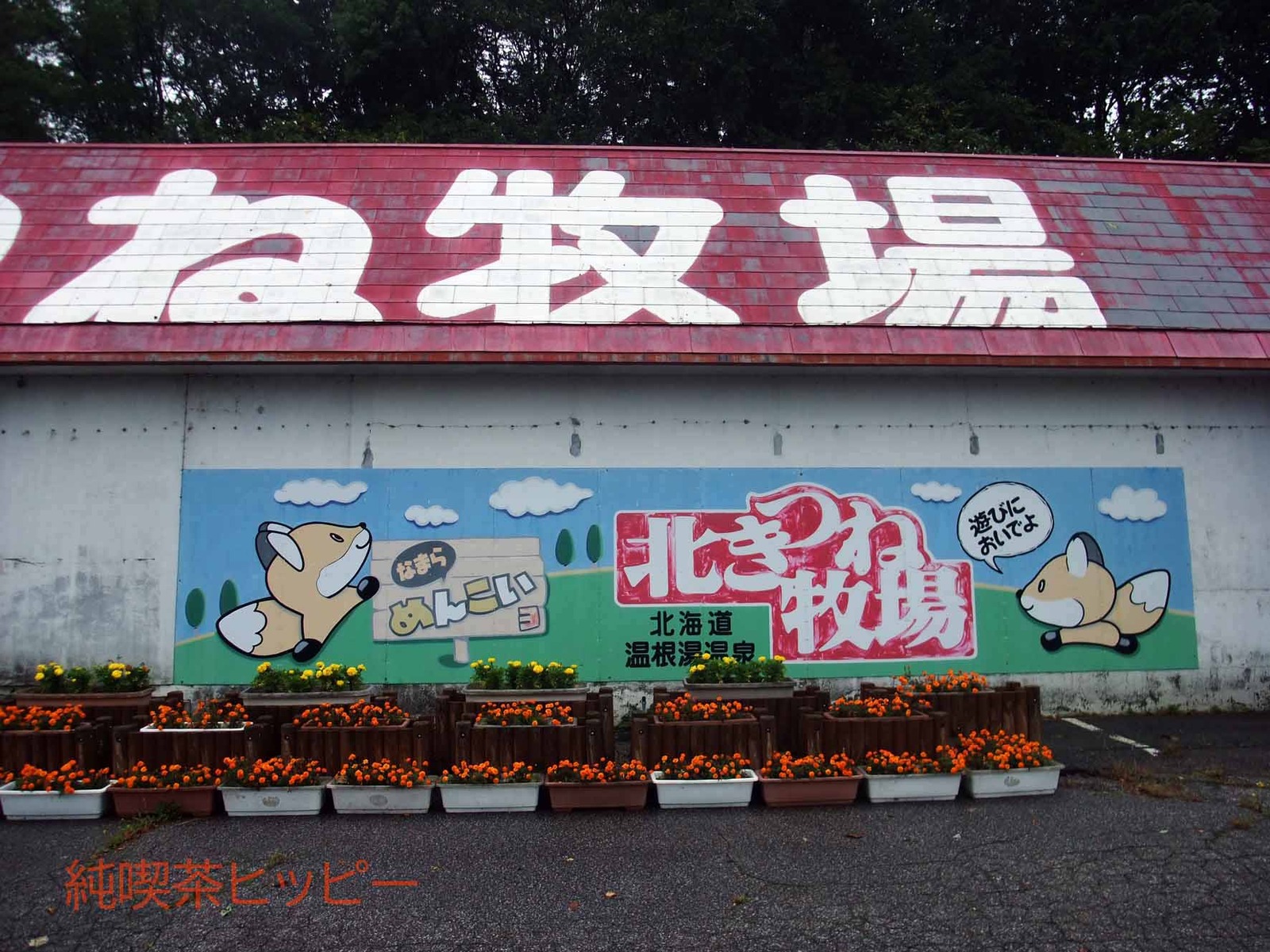 DSCF8426