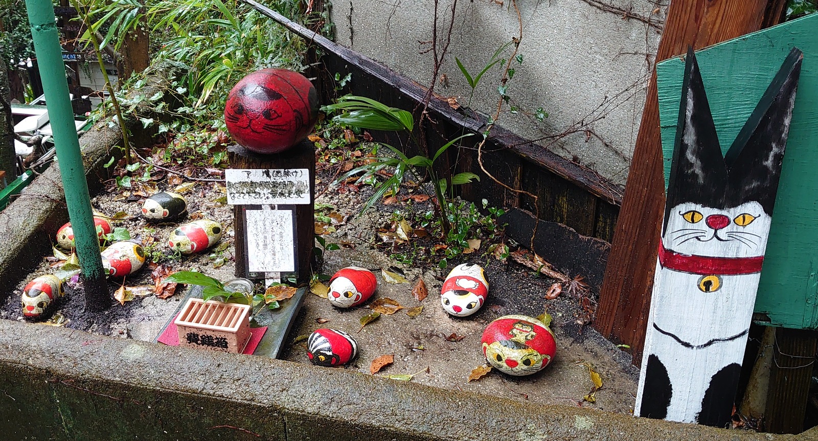 IMG_20240324_104457 - コピー