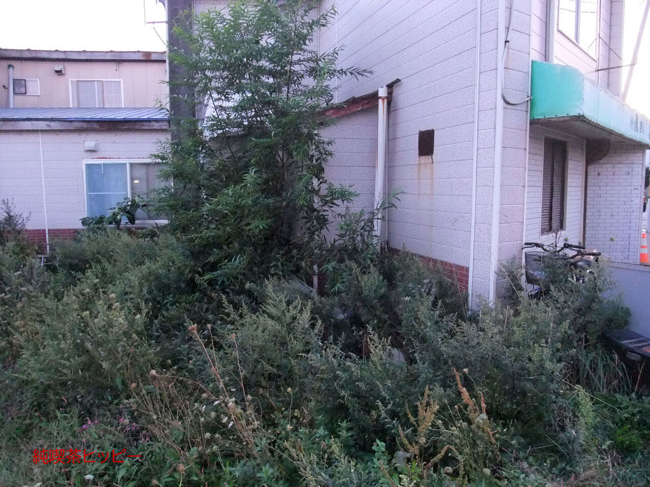 f:id:jkhippie:20200224110205j:plain