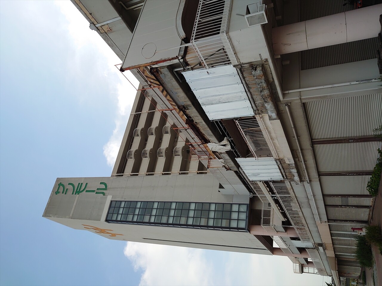 IMG_20240524_164418_R