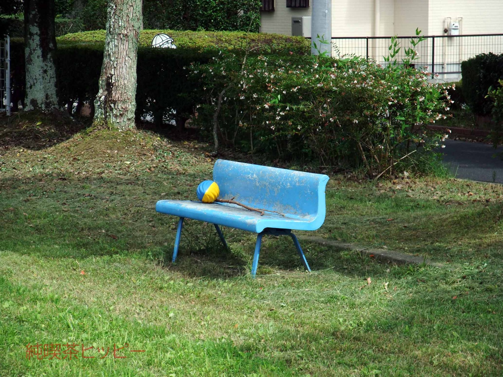 DSCF3099