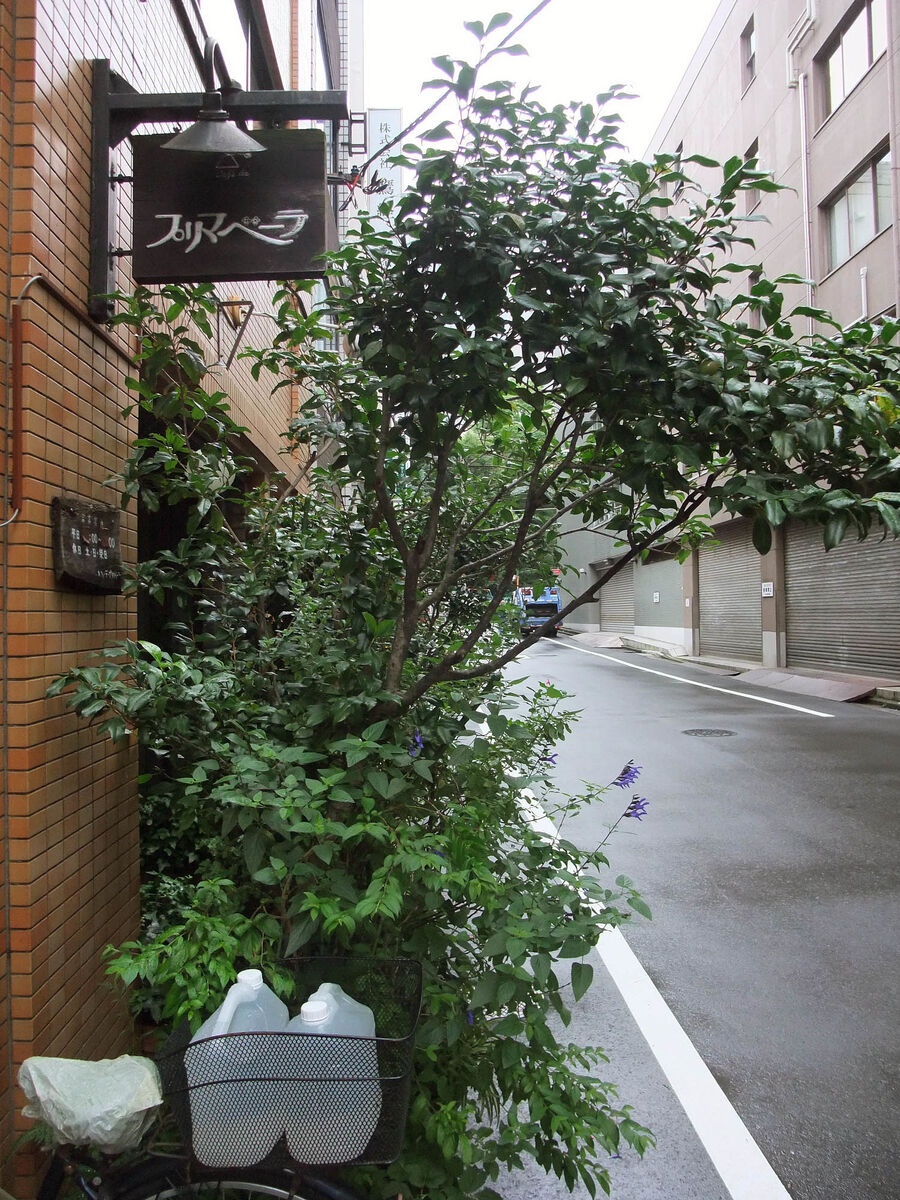 f:id:jkhippie:20191019091510j:plain