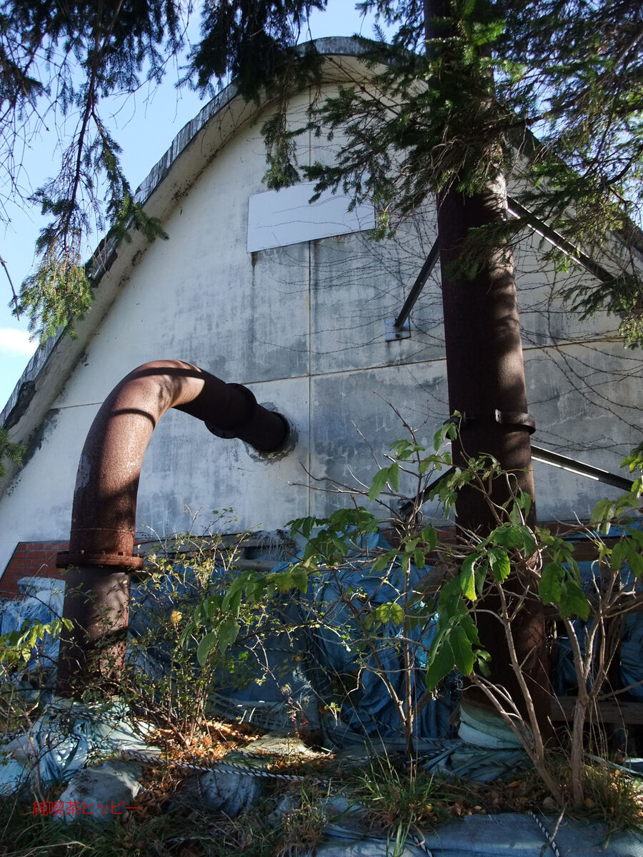 f:id:jkhippie:20191121230505j:plain f:id:jkhippie:20191121230505j:plain