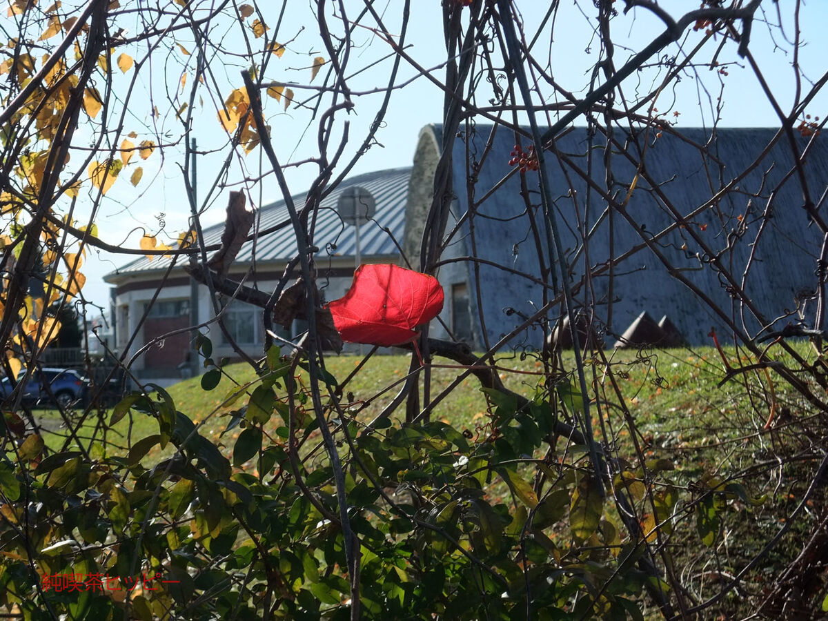 f:id:jkhippie:20191121230531j:plain f:id:jkhippie:20191121230531j:plain