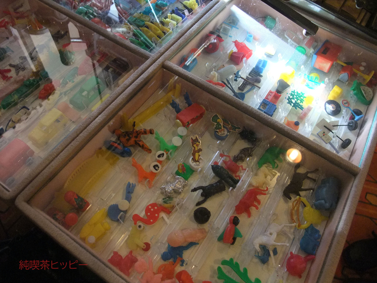DSCF9067