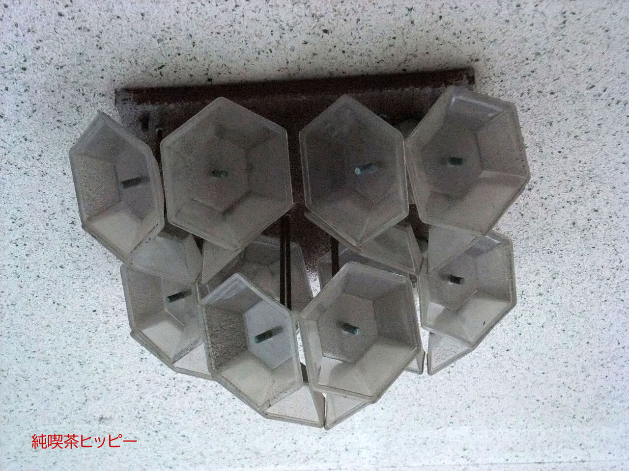 f:id:jkhippie:20190920172538j:plain f:id:jkhippie:20190920172538j:plain