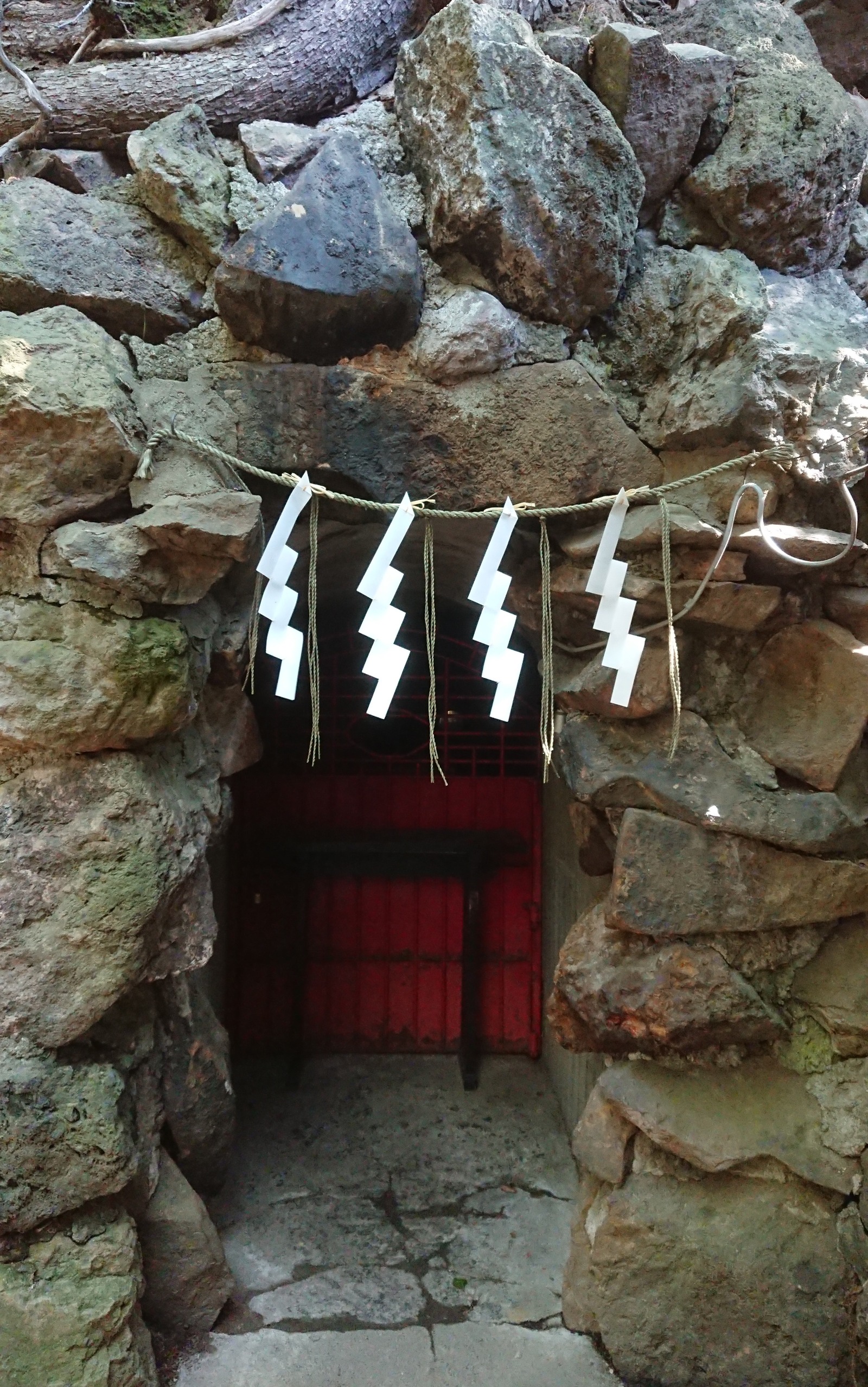 DSCPDC_0003_BURST20220604143713948_COVER