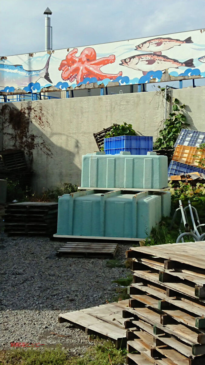 f:id:jkhippie:20191115175540j:plain