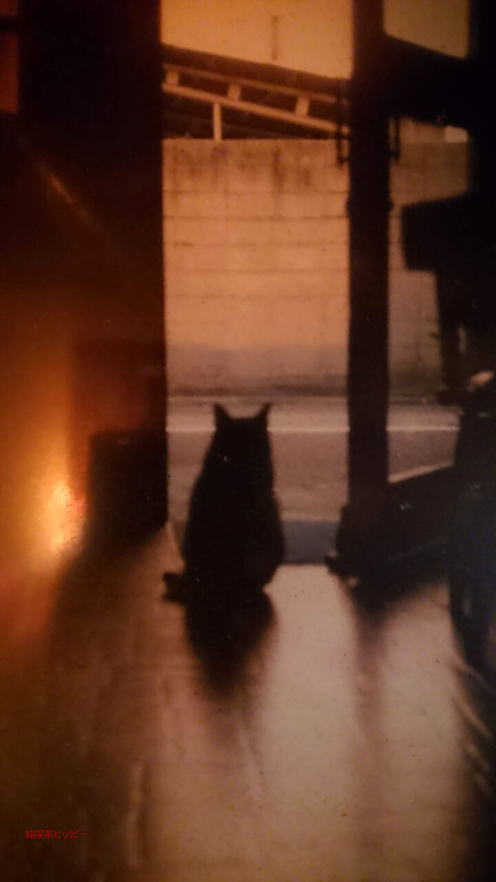 f:id:jkhippie:20200423202058j:plain