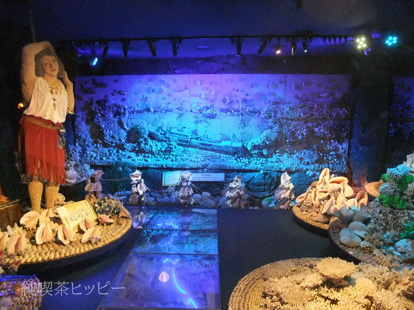 DSCF3252
