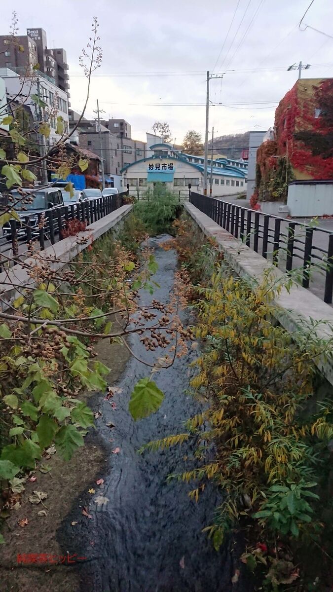 f:id:jkhippie:20191104202822j:plain