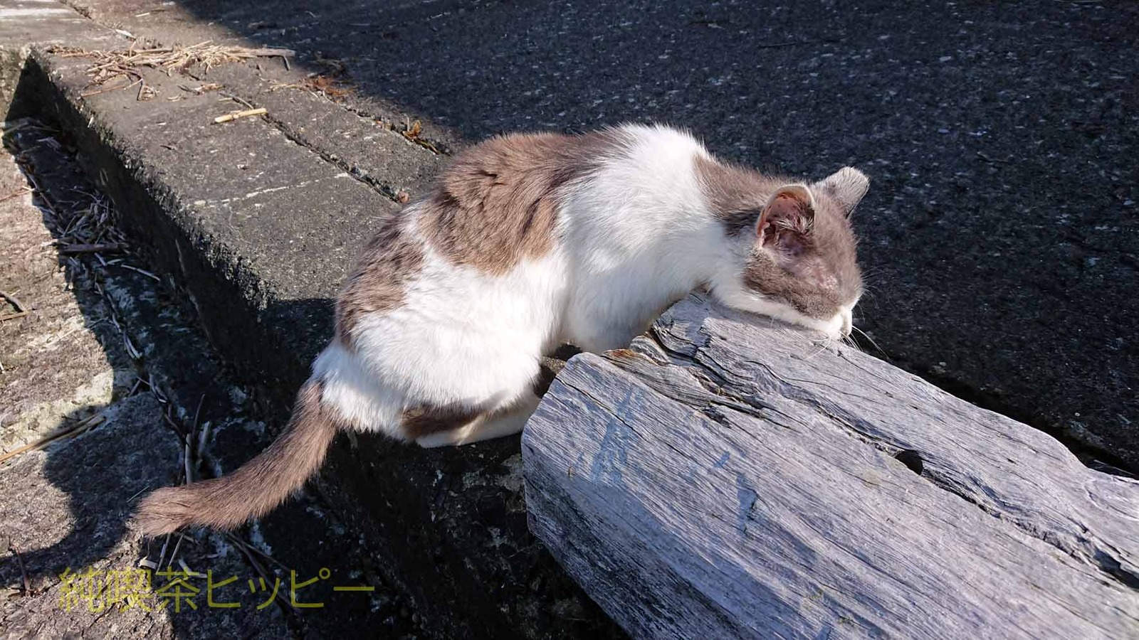 DSCPDC_0000_BURST20210605154951177