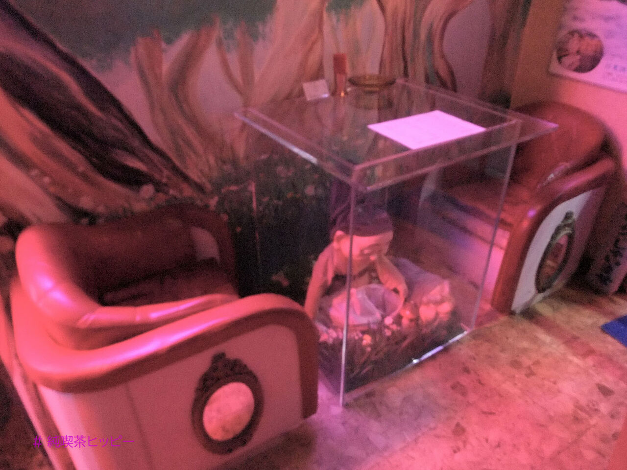 f:id:jkhippie:20200624091528j:plain