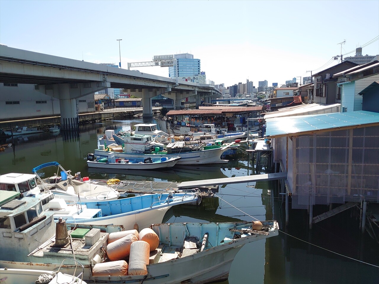 IMG_20240503_140658_R