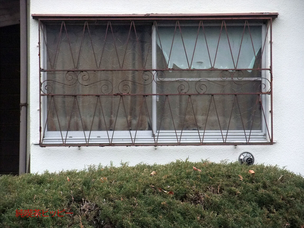 f:id:jkhippie:20200123145058j:plain