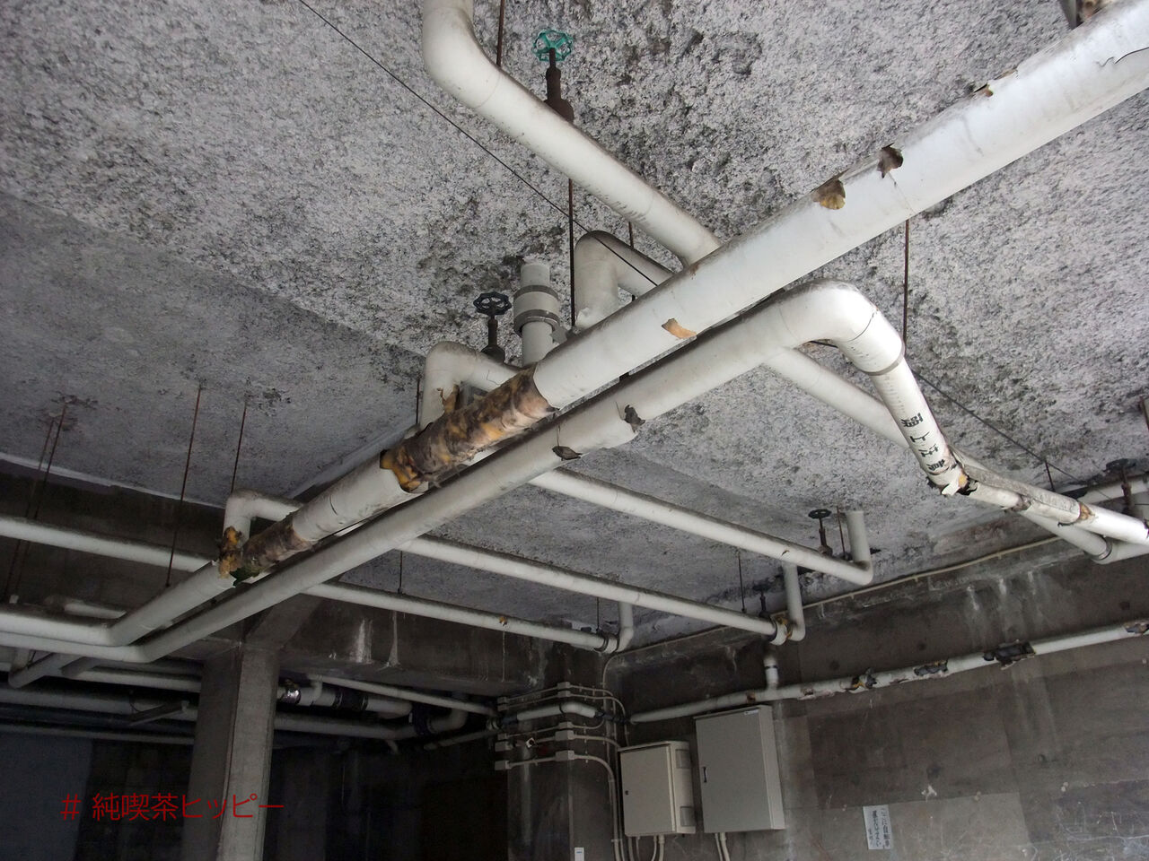 f:id:jkhippie:20200903202918j:plain f:id:jkhippie:20200903202918j:plain