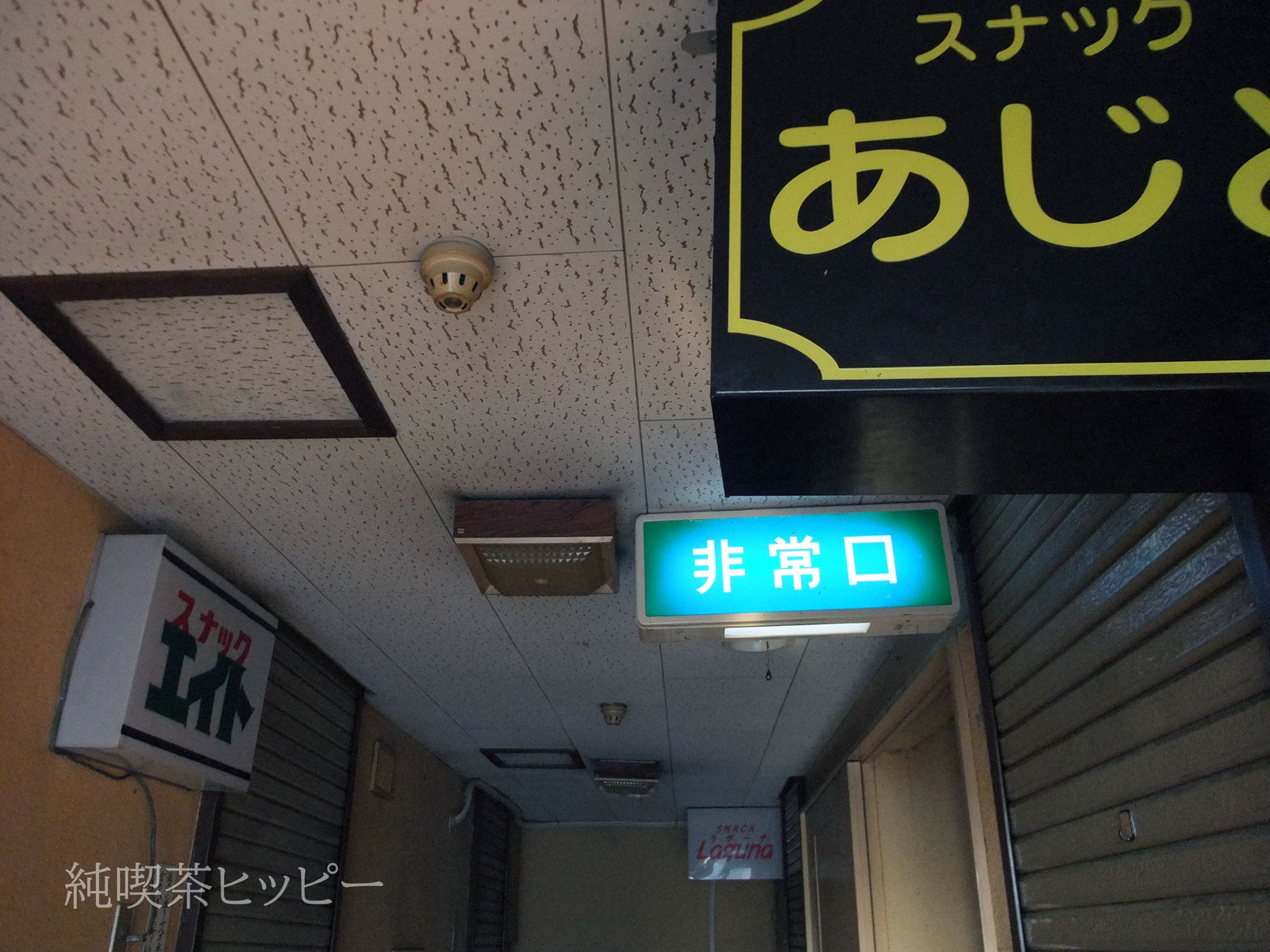DSCF1251