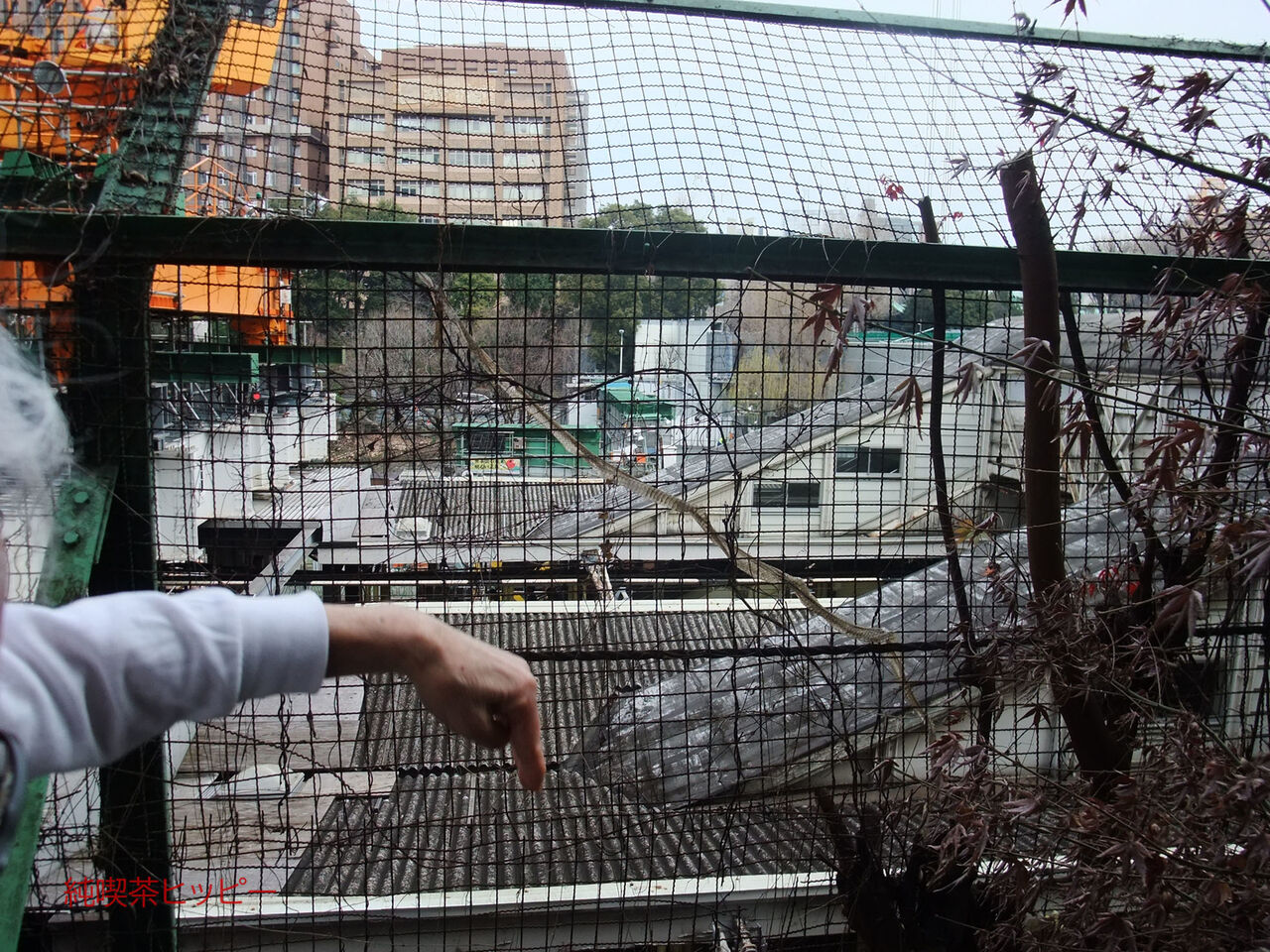 f:id:jkhippie:20200220205940j:plain f:id:jkhippie:20200220205940j:plain