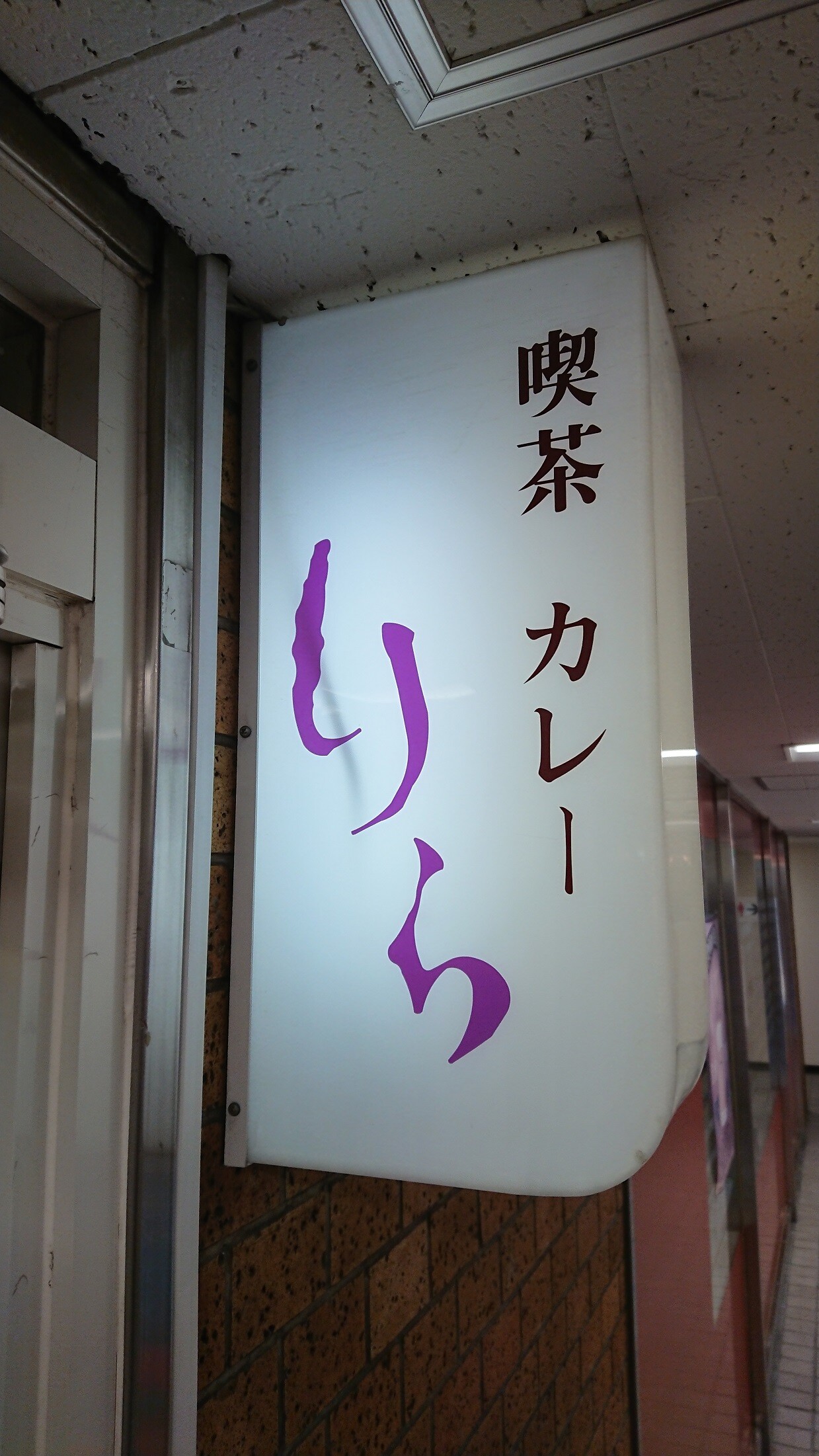 DSCPDC_0003_BURST20211014182542752_COVER