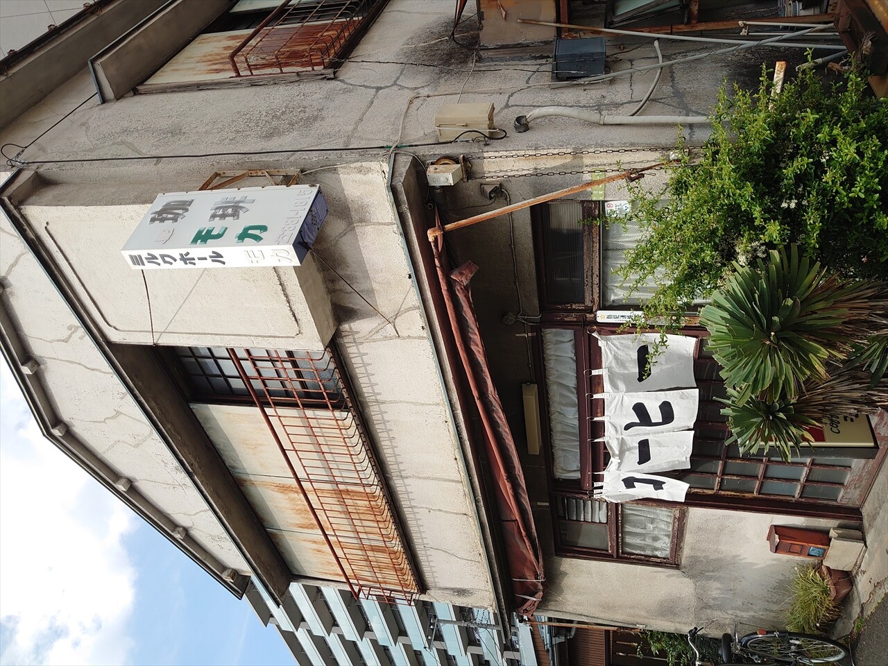 IMG_20240502_141218_R