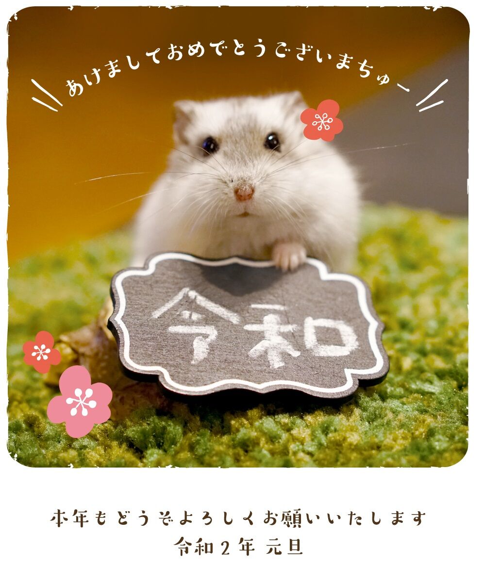 f:id:jkhippie:20191214204318j:plain f:id:jkhippie:20191214204318j:plain