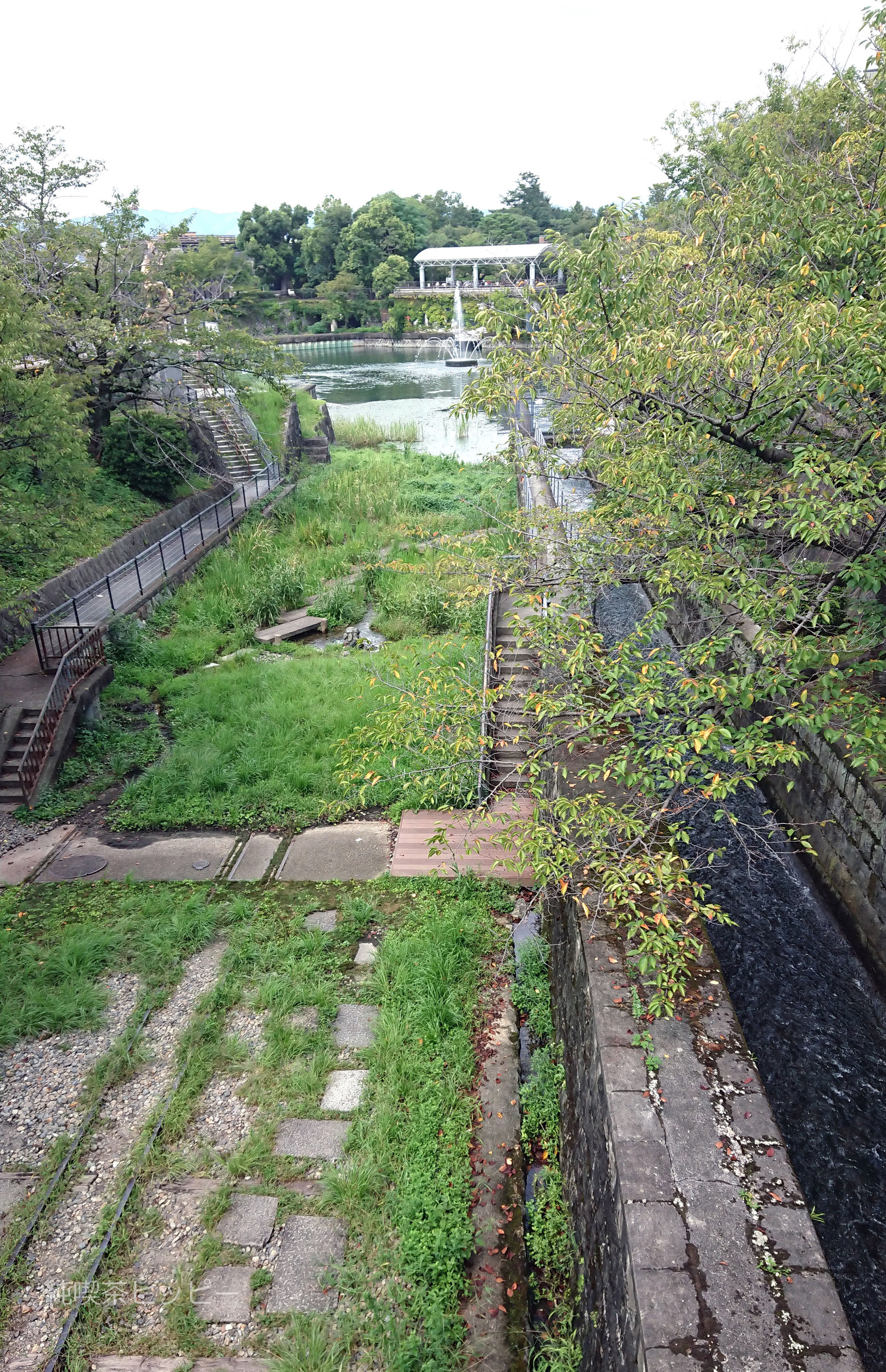 DSC_0051_8