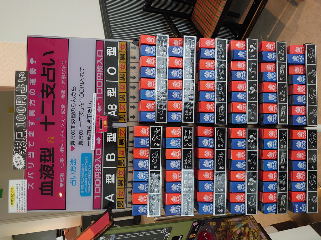 IMG_20240325_112831_R