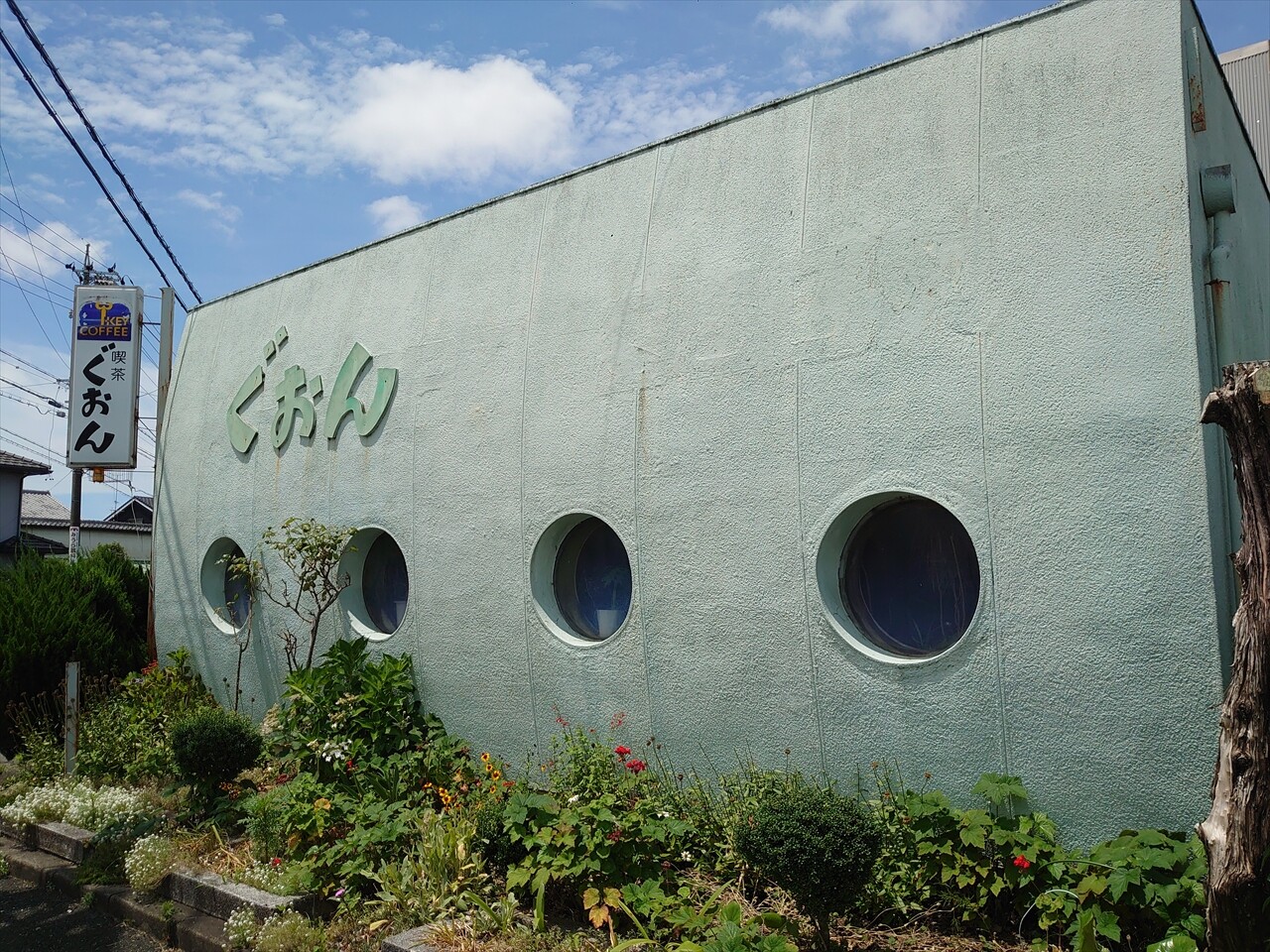 IMG_20240622_104855_R