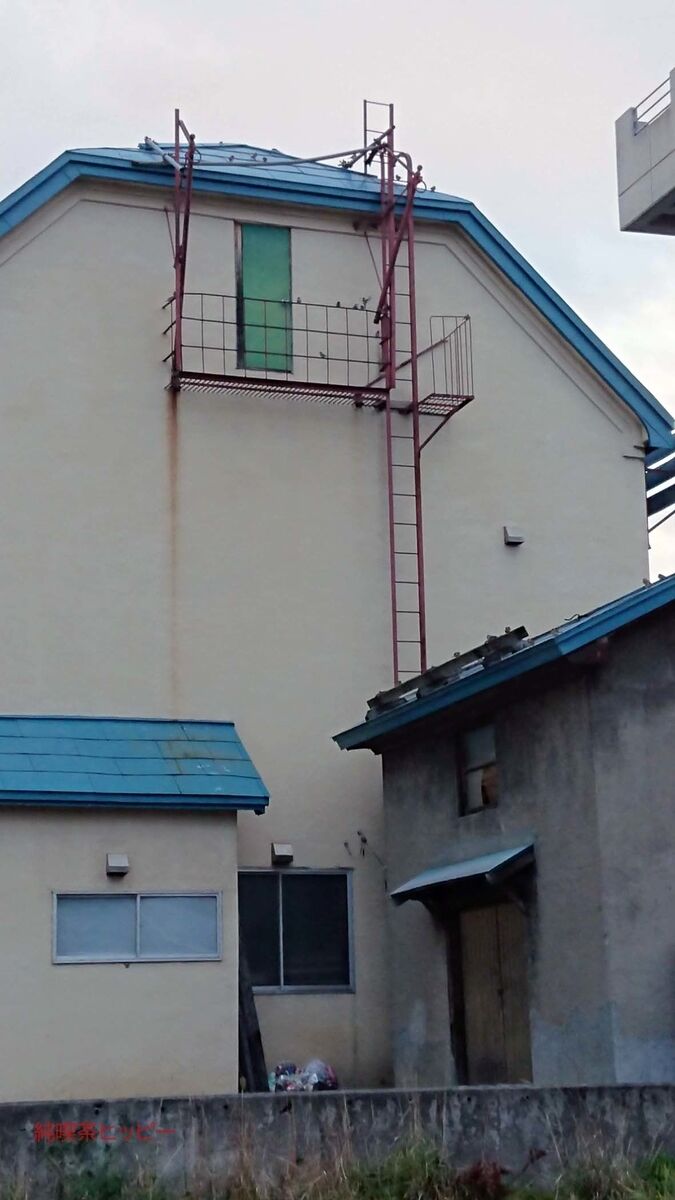 f:id:jkhippie:20191104202650j:plain