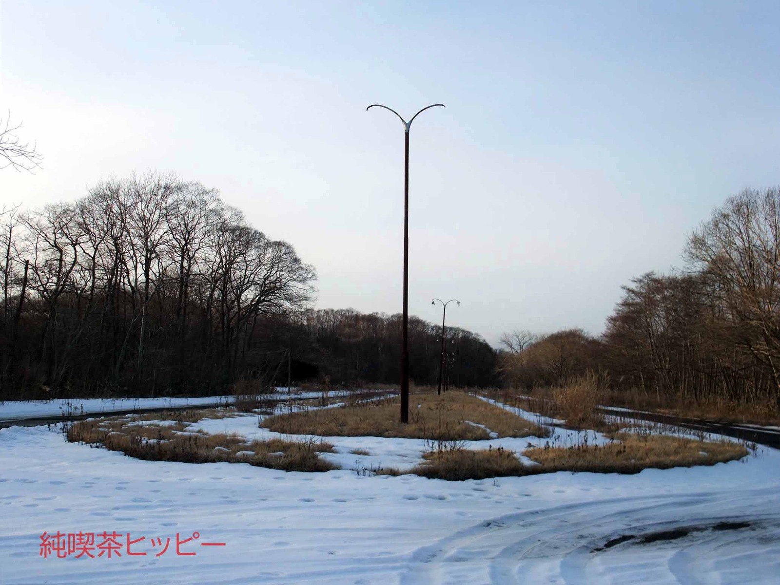 DSCF0101