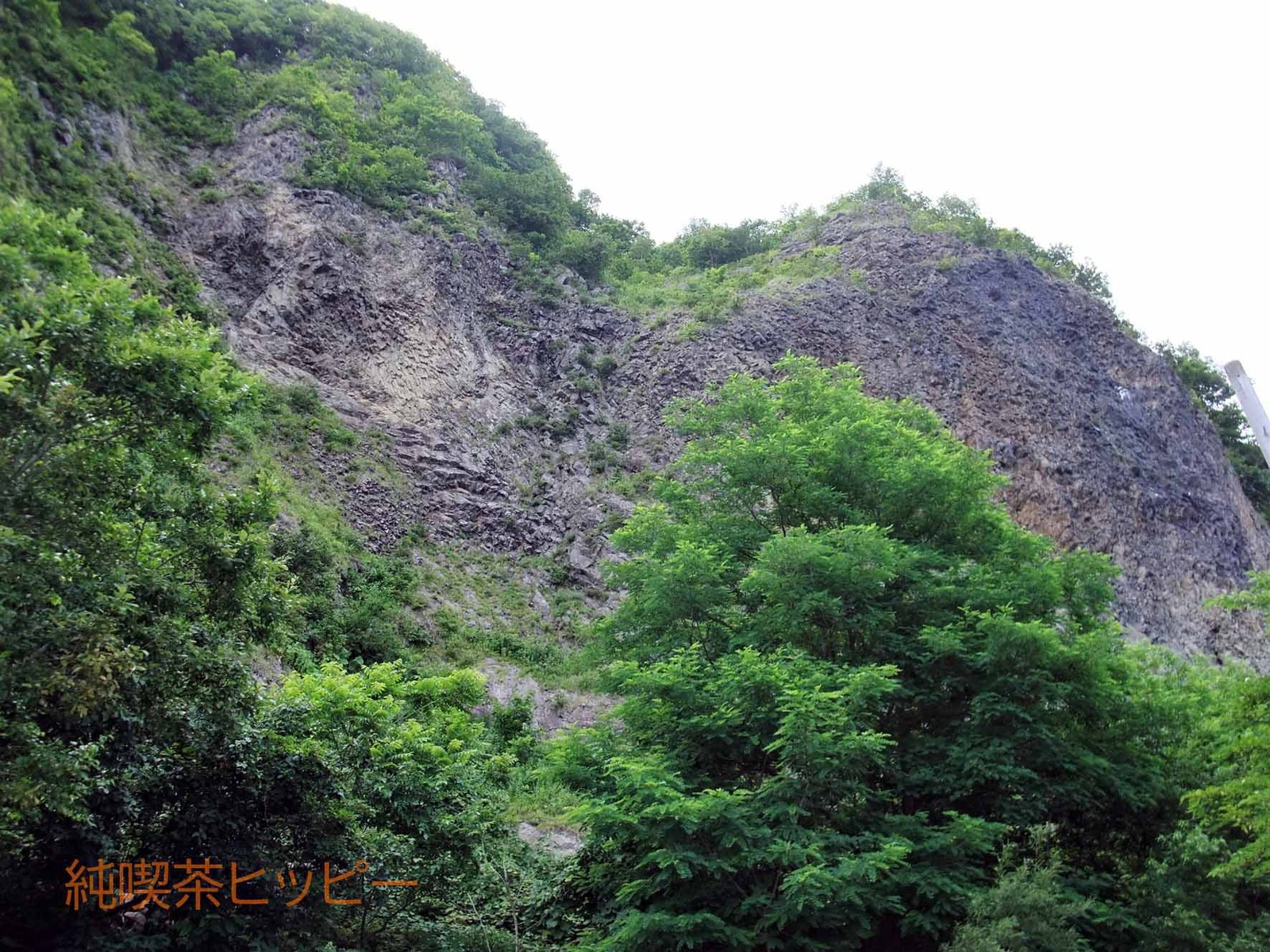 DSCF2722
