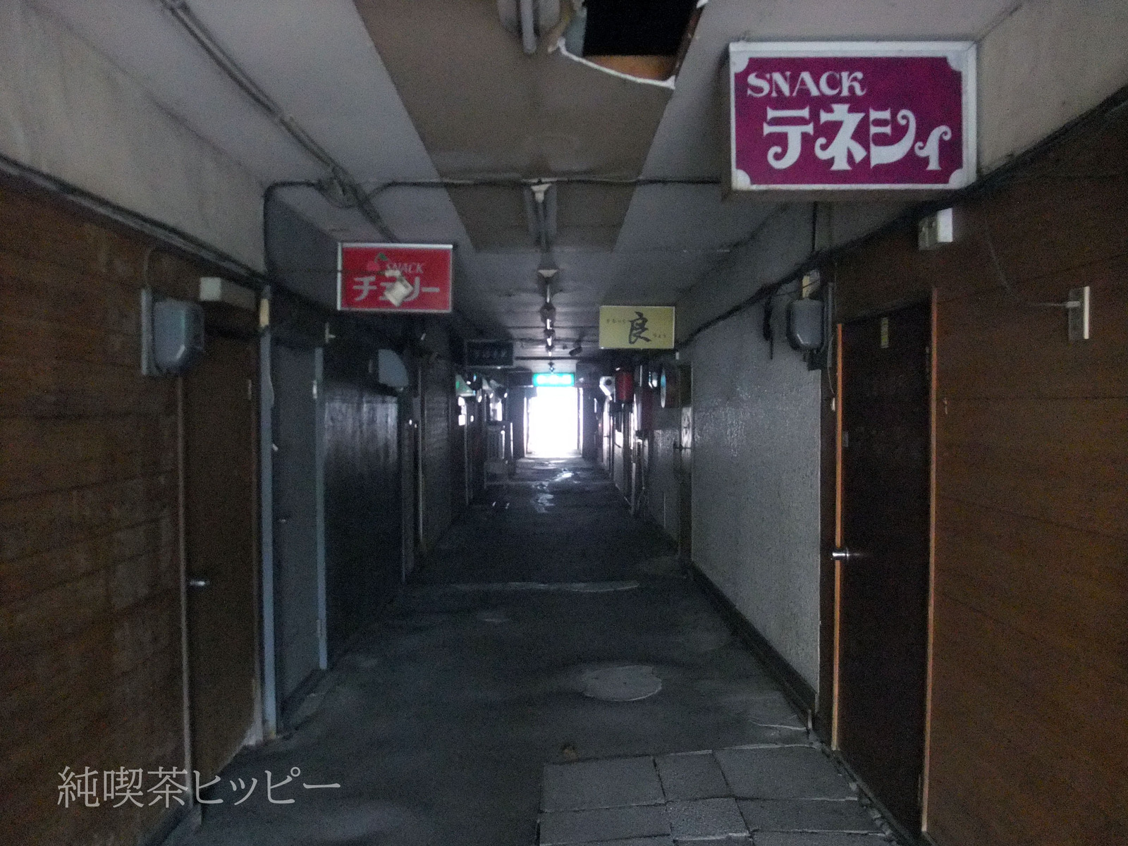 DSCF1239