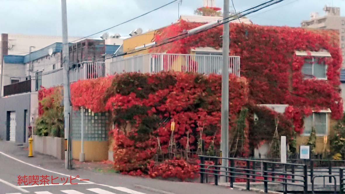 f:id:jkhippie:20191104202748j:plain