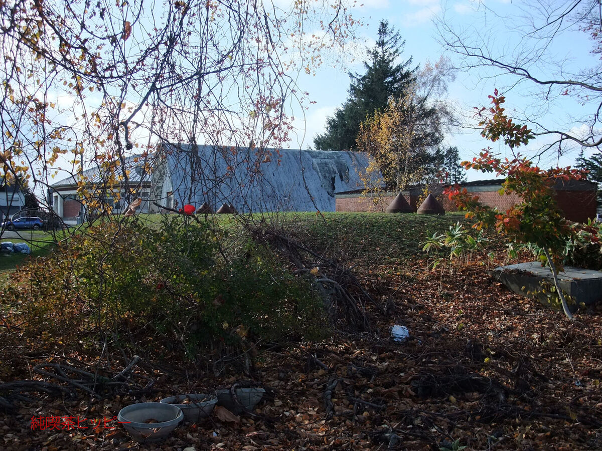 f:id:jkhippie:20191121230623j:plain f:id:jkhippie:20191121230623j:plain