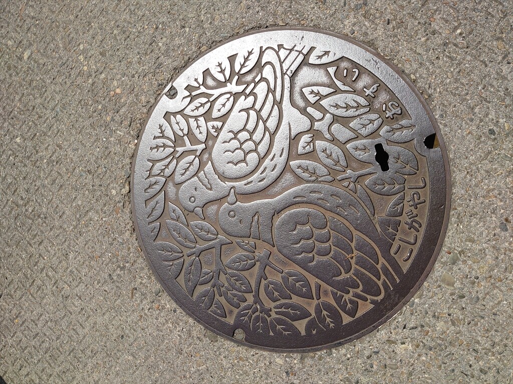 IMG_20250421_103839_R