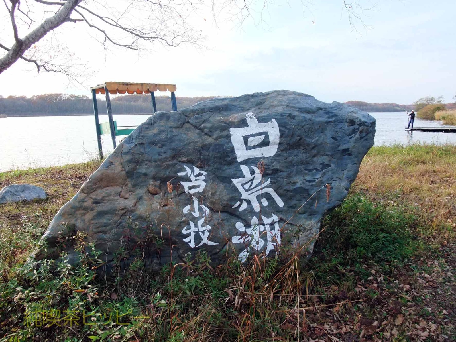 DSCF5508