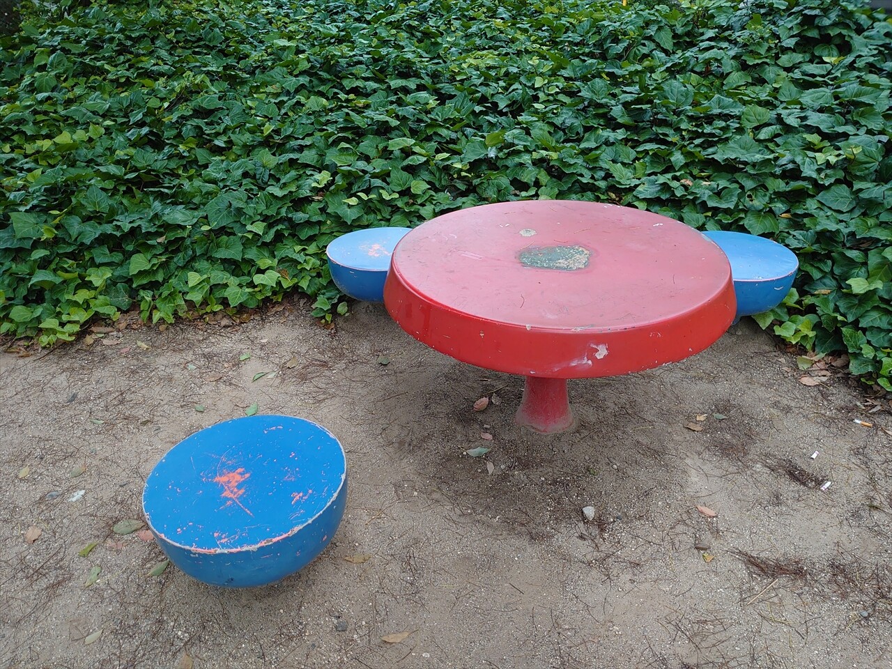 IMG_20240620_174301_R