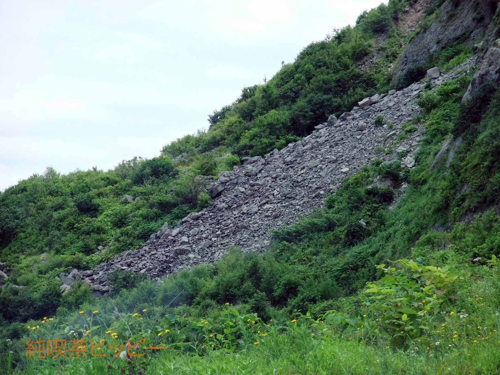 DSCF2721