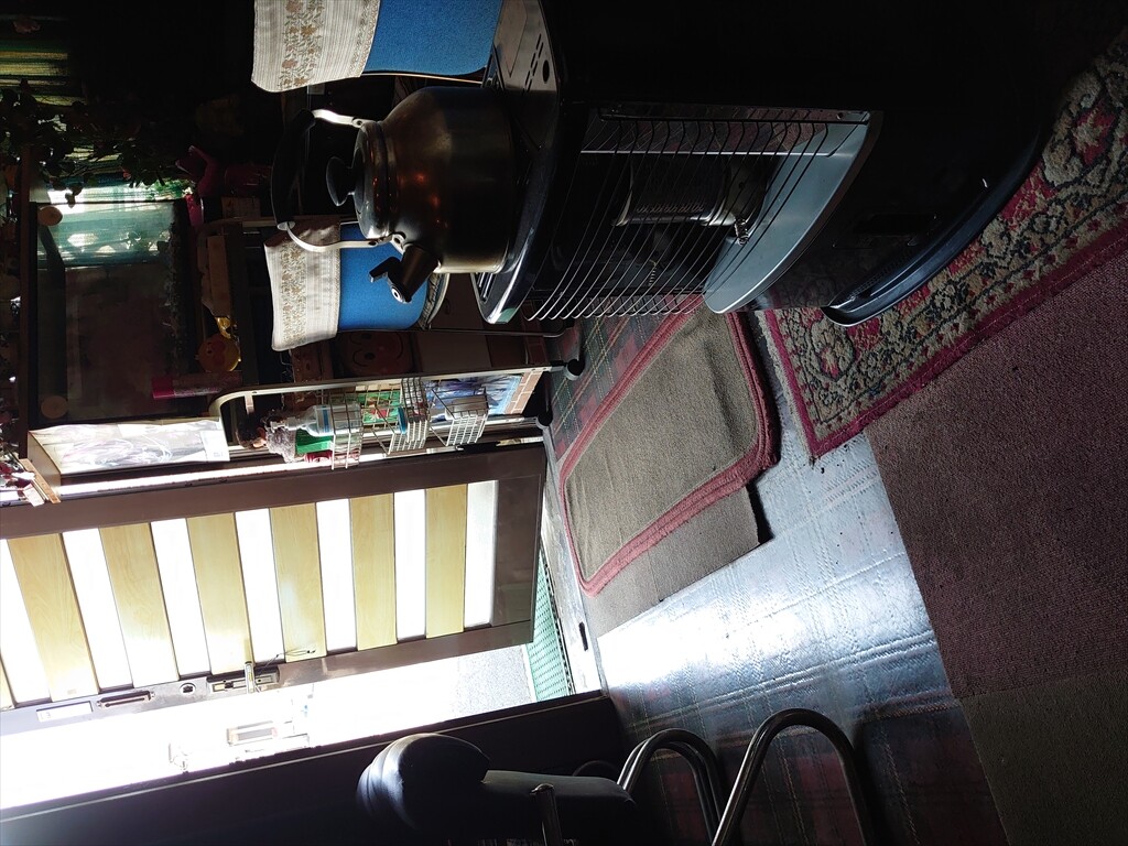 IMG_20250421_105528_R