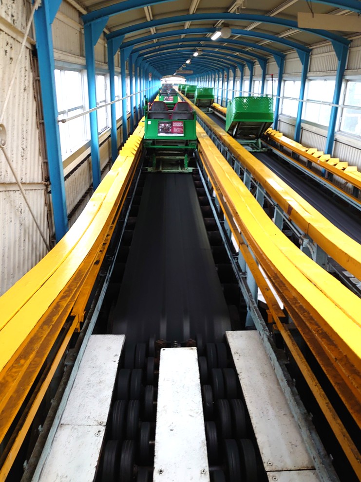 IMG_20240325_111046_R