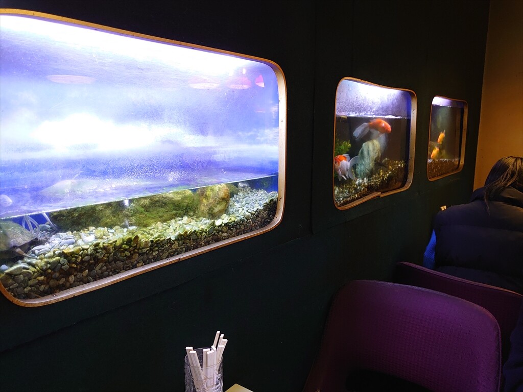 IMG_20240323_171117_R