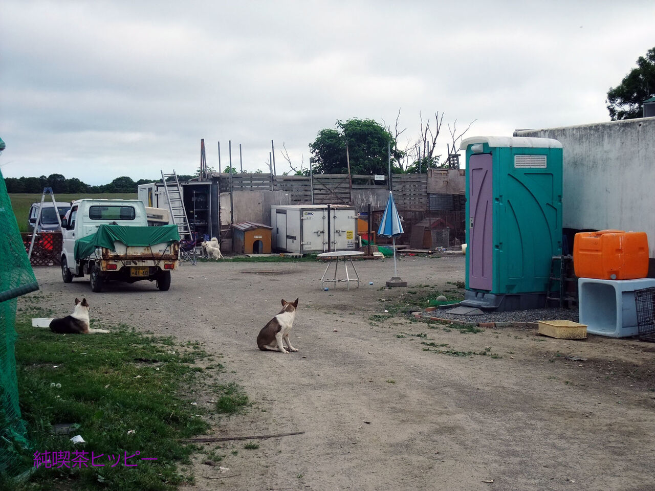 f:id:jkhippie:20200408195554j:plain f:id:jkhippie:20200408195554j:plain