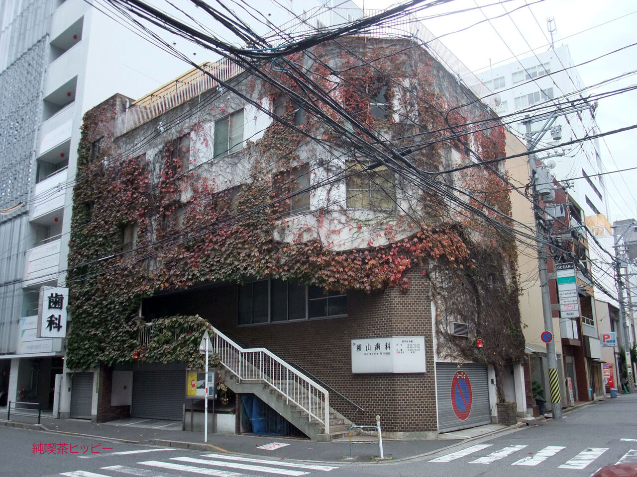 f:id:jkhippie:20200425122150j:plain